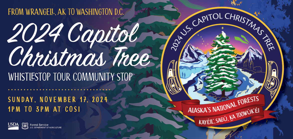 See the Capitol Christmas Tree at COSI on November 17!